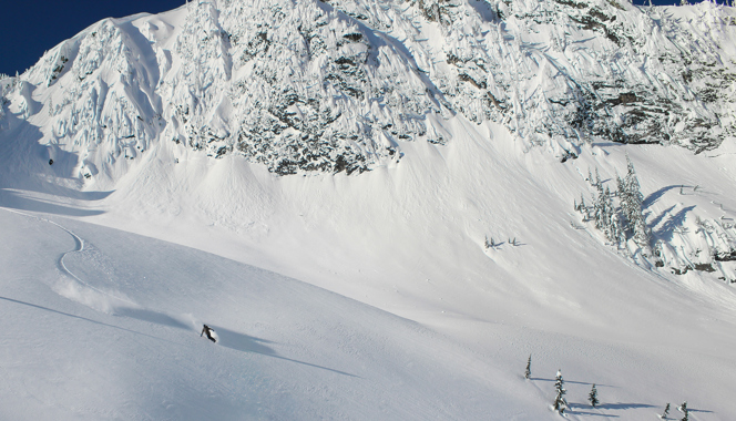 Snowboard wide open glade in Canada